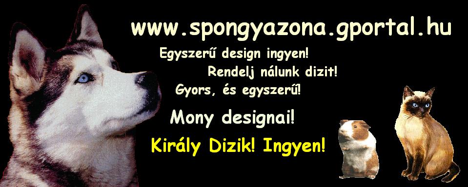 Kirly design INGYEN! Egyszer,de nagyszer!